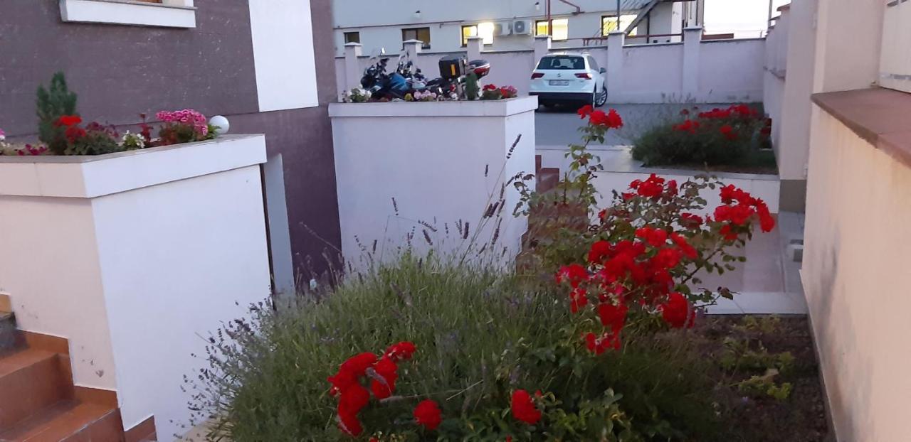 Vila Family Cricova Kültér fotó